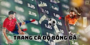 Tiêu chí để chọn trang cá độ bóng đá uy tín