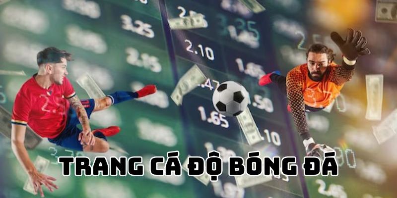 Top999 Tiêu chí để chọn trang cá độ bóng đá uy tín