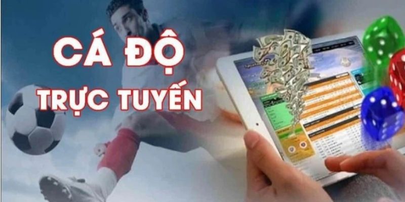 cá độ online là gì? Khám phá cá độ online là gì? Tại sao ngày càng phổ biến?