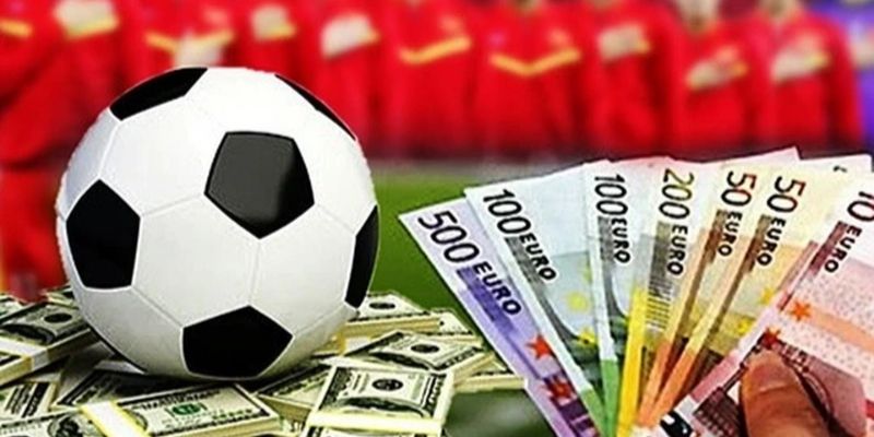 Câu hỏi thường gặp Những lưu ý quan trọng khi tham khảo Câu hỏi thường gặp